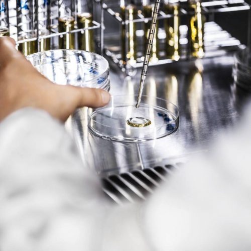 Clarins-Italia-Ambra-e-Miele-Trattamenti-viso-trattamenti-corpo (1)