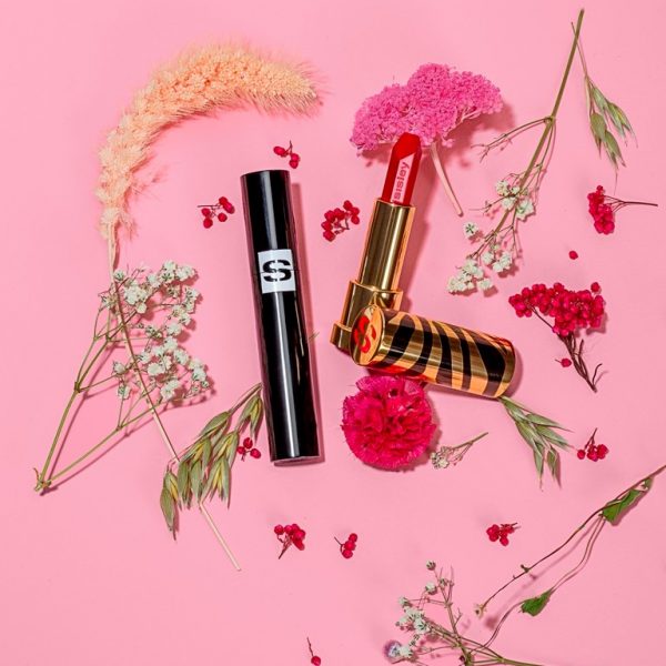 64839643_2249508431802235_8320724362554507264_n 64839643_2249508431802235_8320724362554507264_n